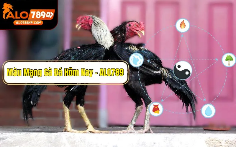 Hướng dẫn kê thủ xem màu mạng gà đá hôm nay