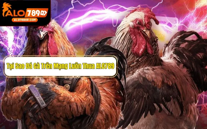 Giải đáp thắc mắc: Tại sao đá gà trên mạng luôn thua?