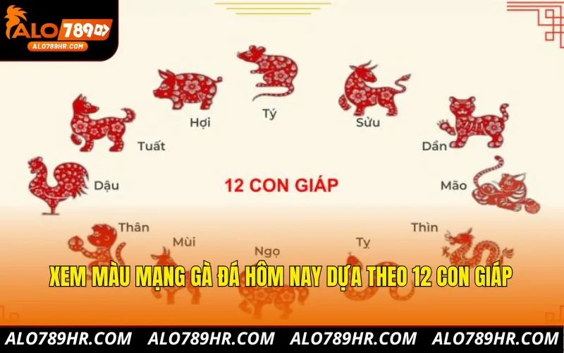 Xem màu mạng gà đá hôm nay dựa theo 12 con giáp